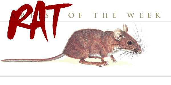 Madagascan Rat