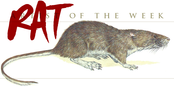 Fish-Eating Rat