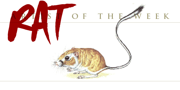 Desert Kangaroo Rat