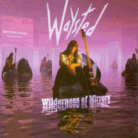 Wilderness Of Mirrors cd cover