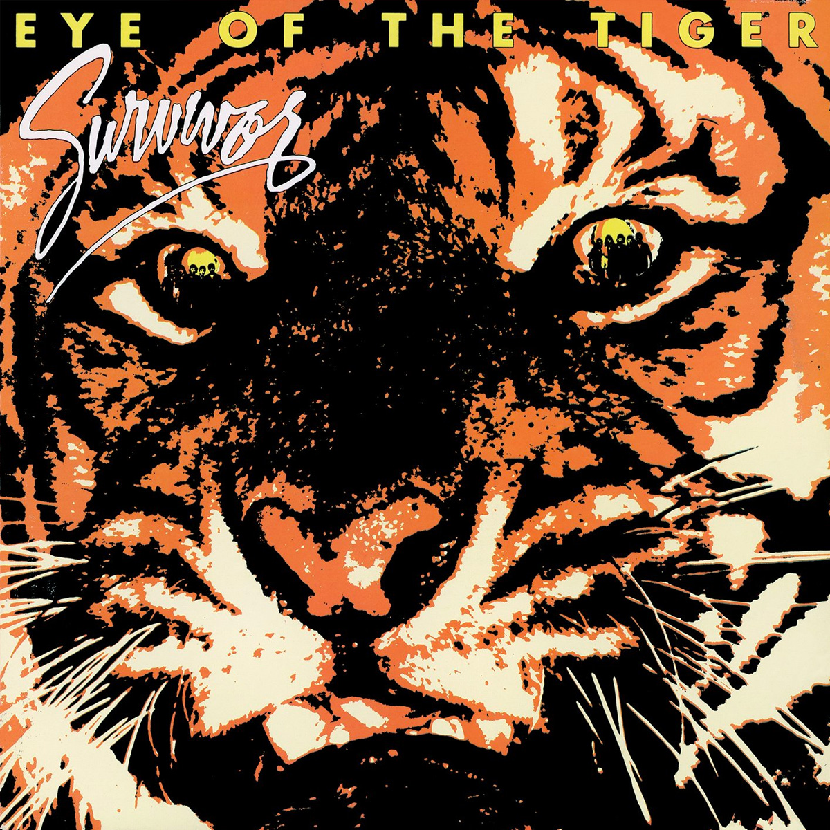 Eye Of The Tiger cd cover