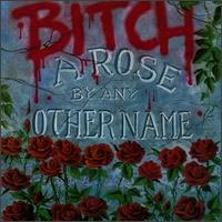 A Rose By Any Other Name cd cover
