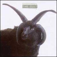 The Cult cd cover