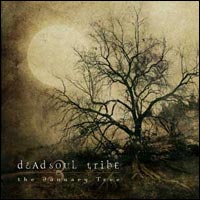 The January Tree cd cover