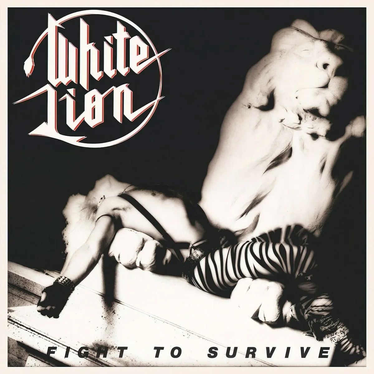 Fight To Survive cd cover