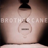 Seeds cd cover