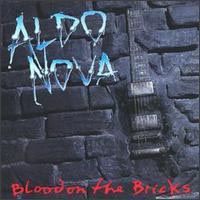 Blood on the Bricks cd cover