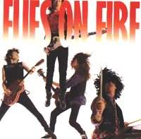Flies on Fire cd cover